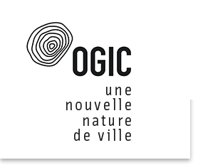 Ogic